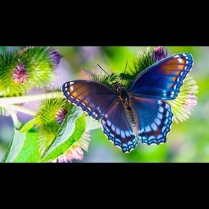 Meet your Posher, Wendy